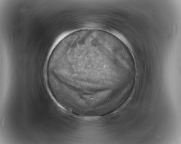 X0000086761440200704271721