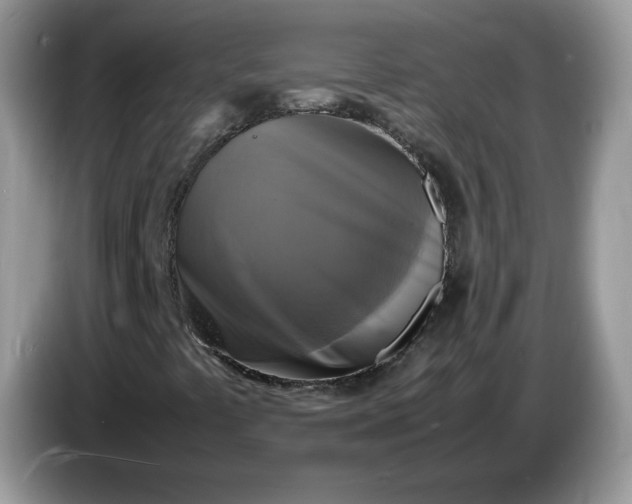 X0000086761441200704271721