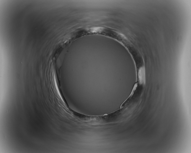 X0000086761443200704271721