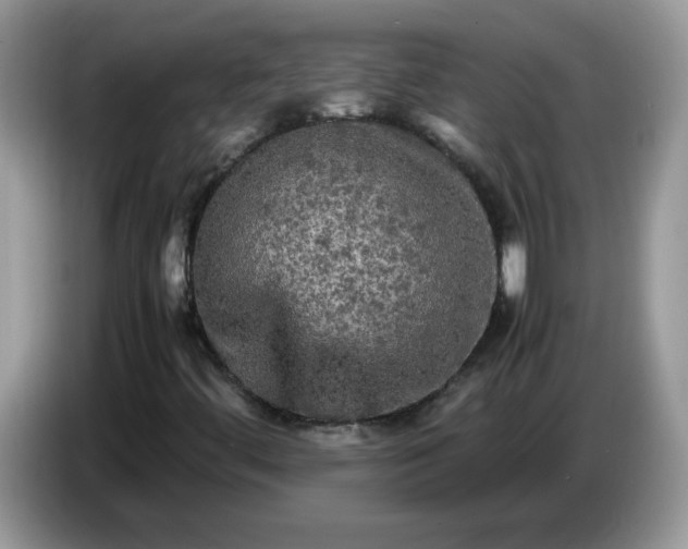 X0000086761444200704271721