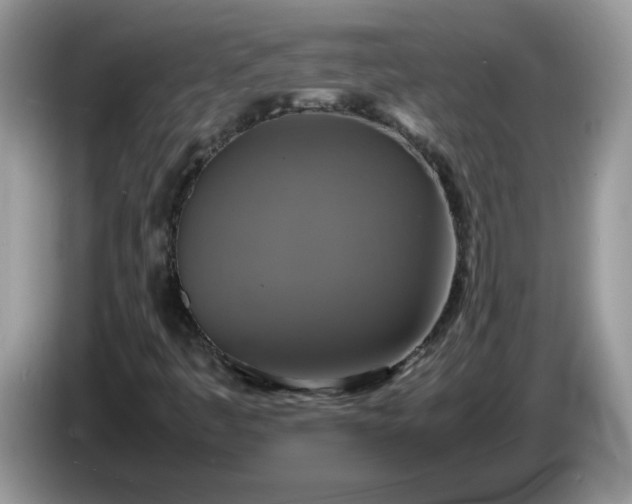 X0000086761445200704271721