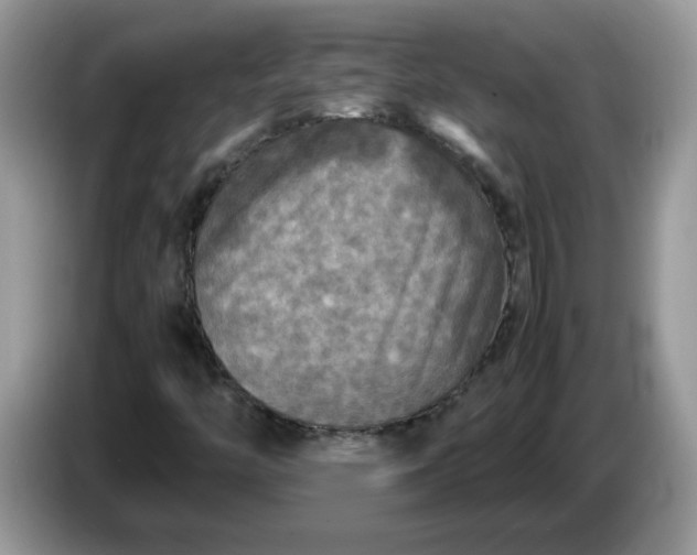 X0000086761446200704271721