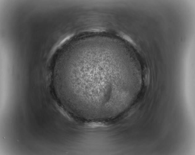 X0000086761448200704271721