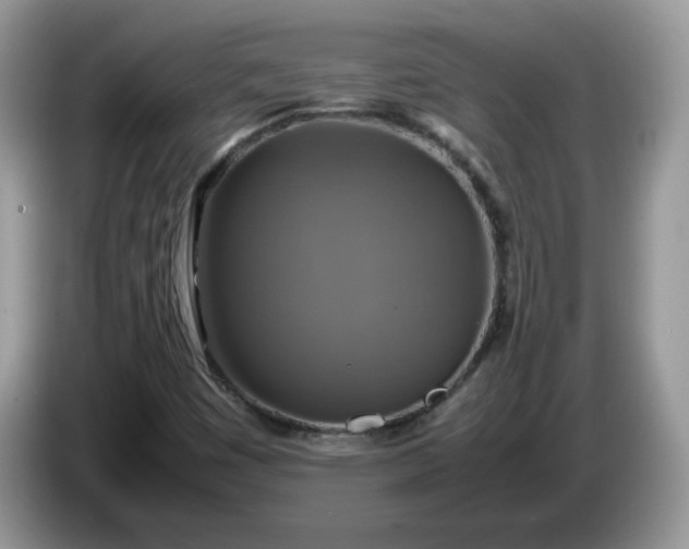 X0000086761449200704271721