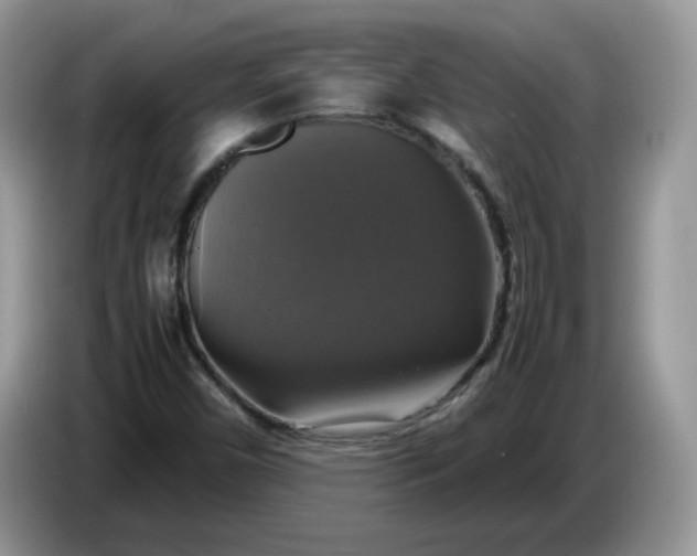 X0000086761450200704271721