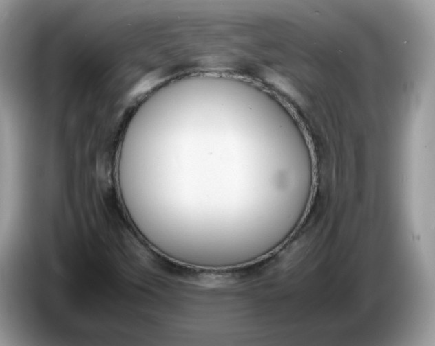 X0000086761451200704271721