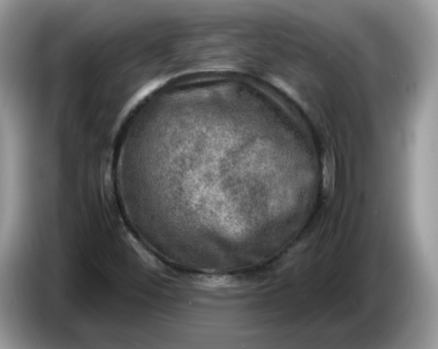 X0000086761452200704271721