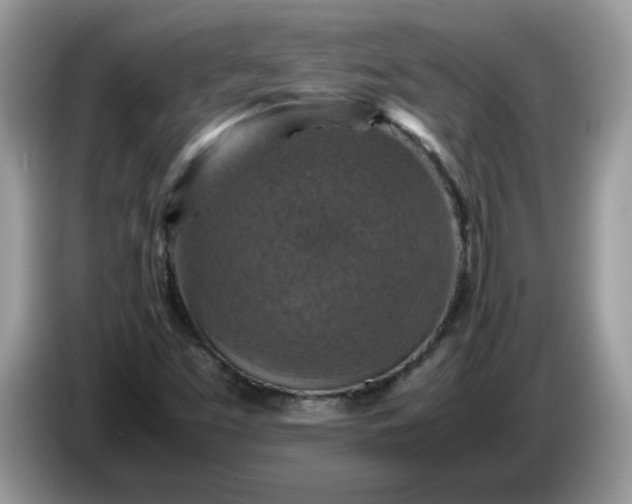 X0000086761453200704271721