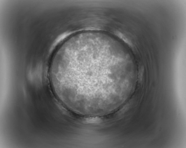 X0000086761454200704271721