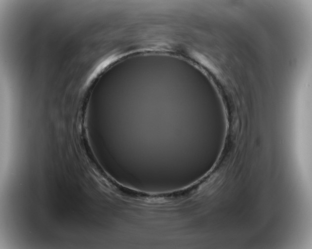 X0000086761455200704271720