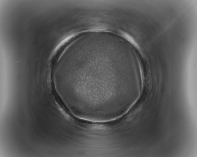 X0000086761456200704271720