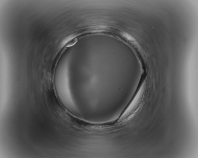 X0000086761457200704271720