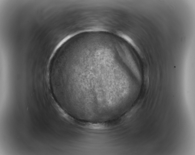 X0000086761460200704271720