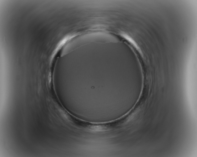 X0000086761461200704271720