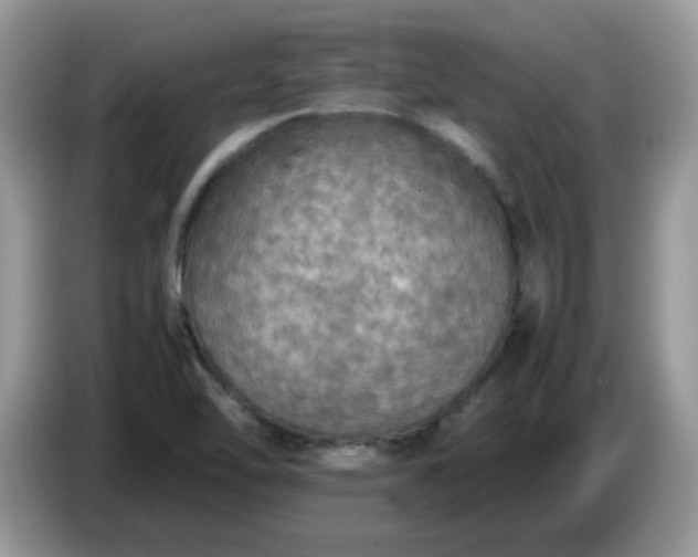 X0000086761462200704271720