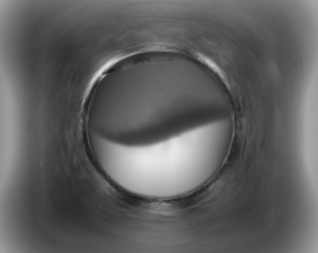 X0000086761463200704271720