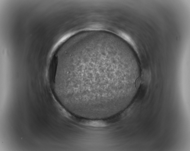 X0000086761464200704271720