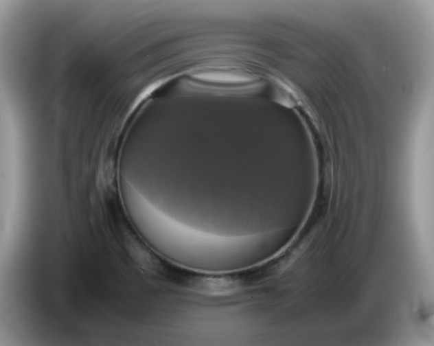 X0000086761465200704271720