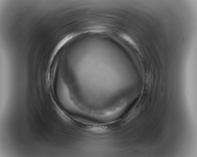 X0000086761466200704271720