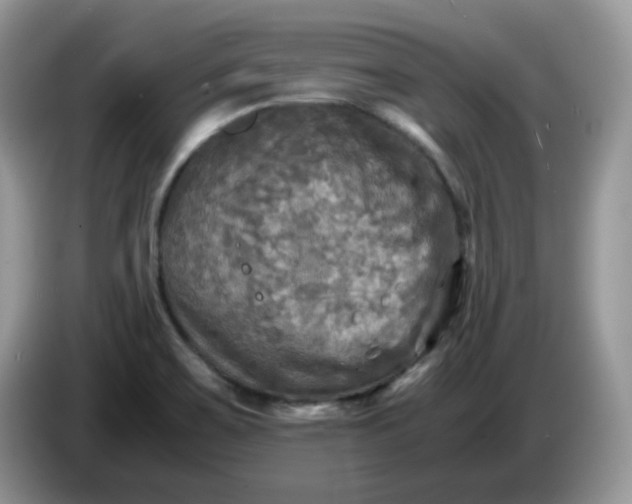 X0000086761467200704271720