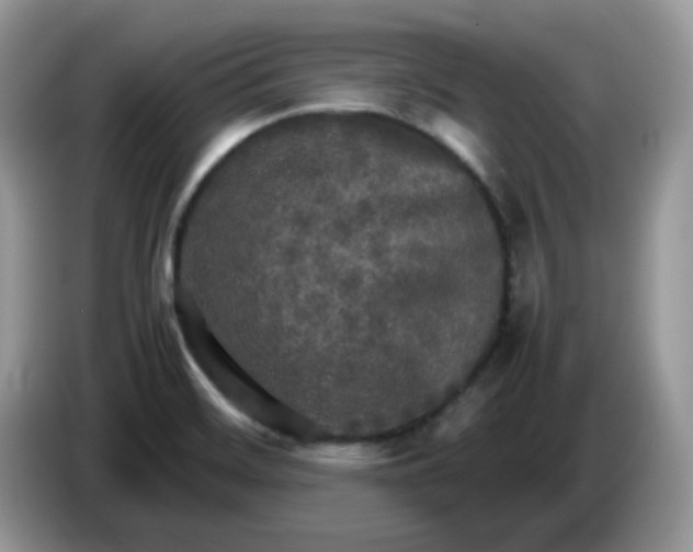 X0000086761468200704271720