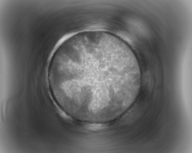 X0000086761470200704271720