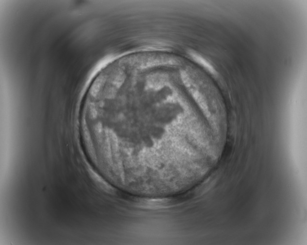 X0000086761471200704271720