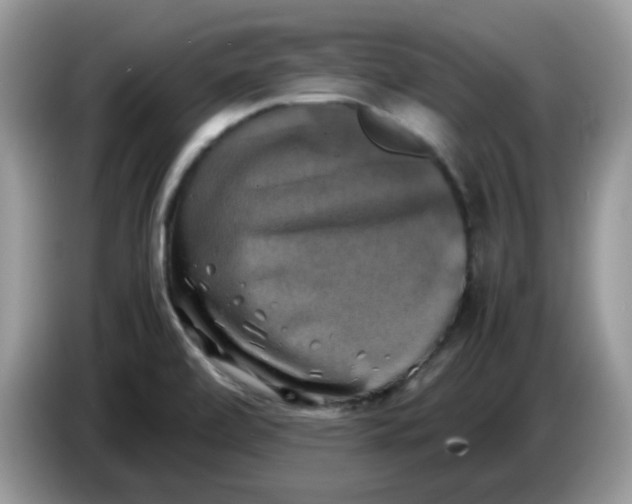 X0000086761472200704271720