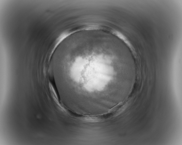 X0000086761473200704271720