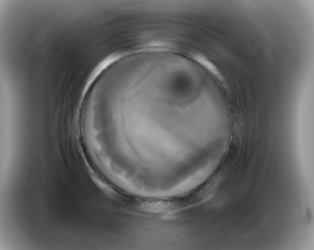 X0000086761474200704271720