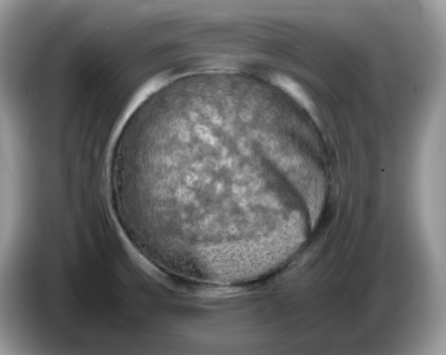 X0000086761475200704271720