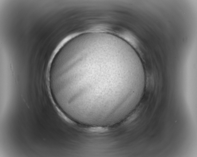 X0000086761478200704271720