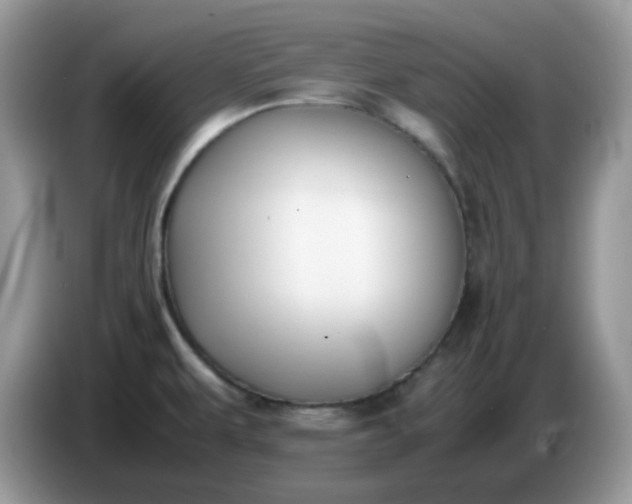 X0000086761479200704271720