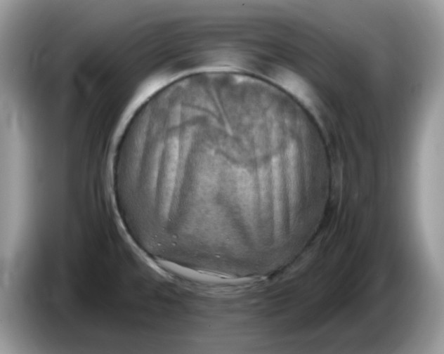 X0000086761480200704271720