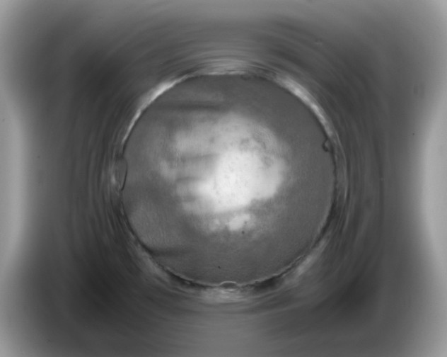 X0000086761481200704271720