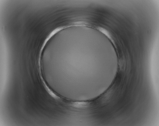 X0000086761482200704271720