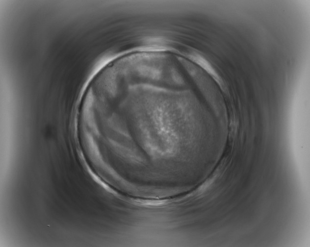 X0000086761484200704271720