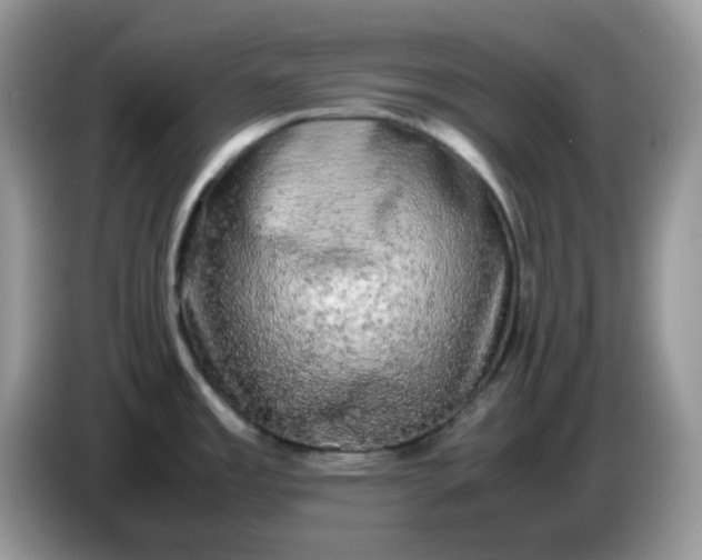 X0000086761485200704271720