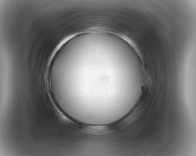 X0000086761486200704271720