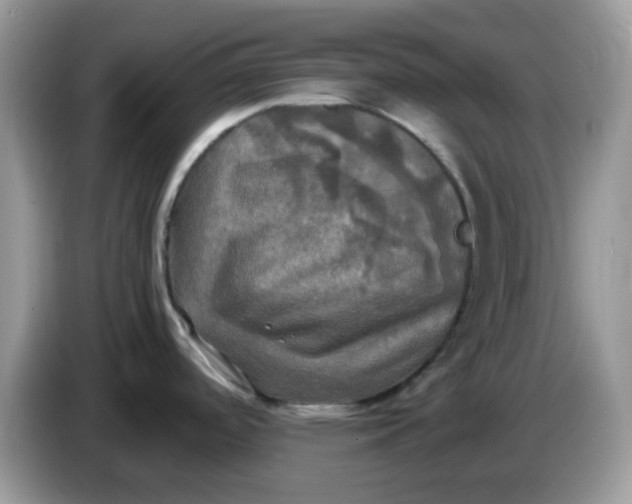 X0000086761488200704271720