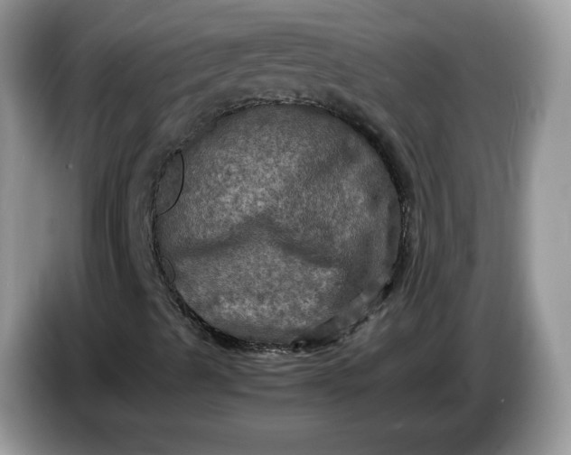 X0000086761489200704271719