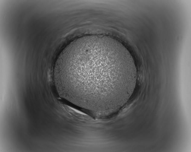 X0000086761490200704271719