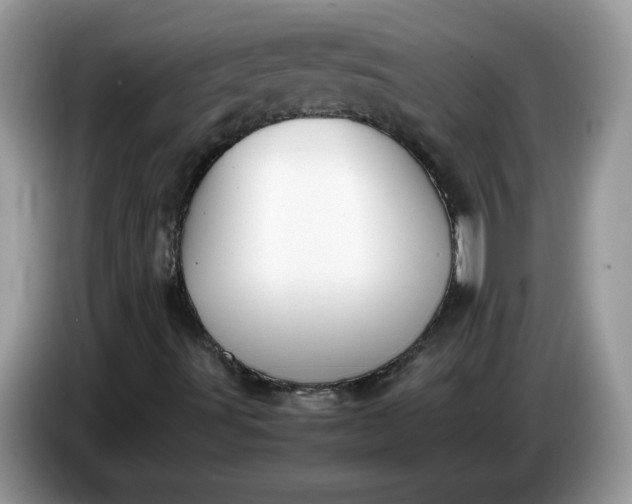 X0000086761491200704271719