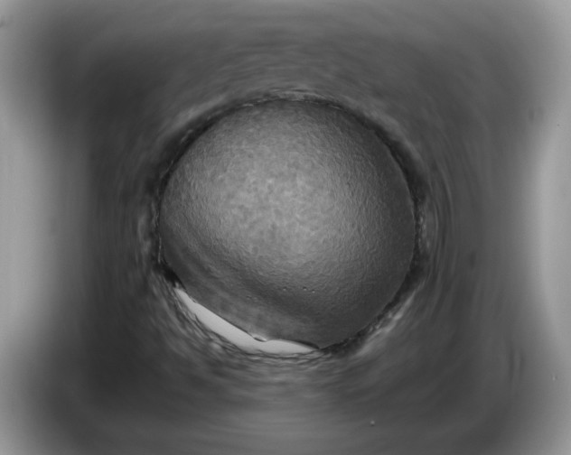 X0000086761494200704271720