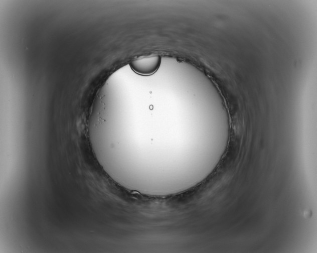 X0000086761495200704271720