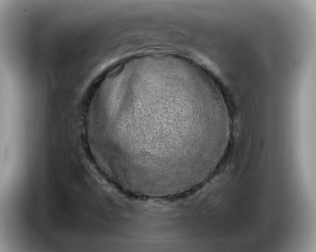 X0000086761496200704271720