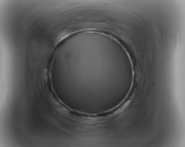 X0000086761497200704271720