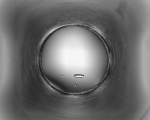 X0000086761500200704271720