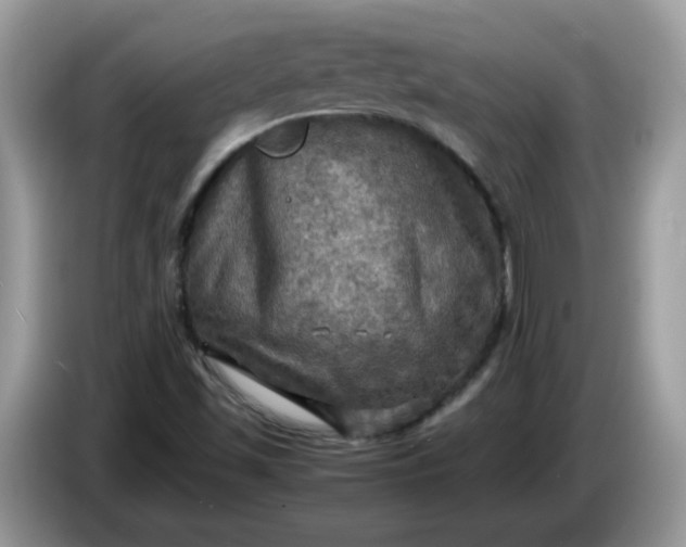 X0000086761501200704271720