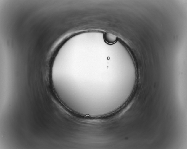 X0000086761502200704271720